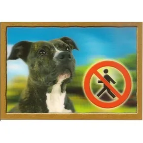 3D-PSI-Tag, Staffordshire Terrier